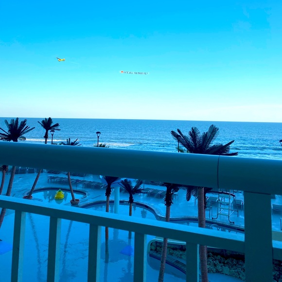 Meet your Posher, Sahara - Picture 1 of 1